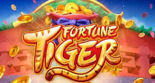 raja07 Live Casino